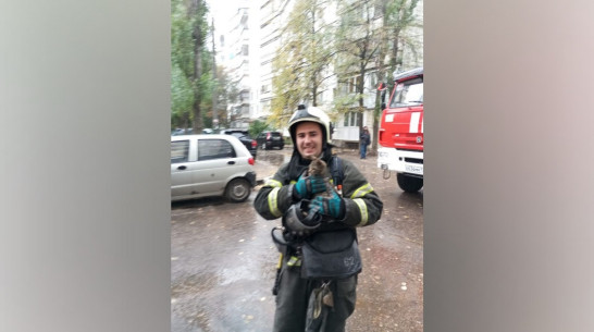Воронежские спасатели эвакуировали из горящего дома 4 человек и котенка на улице Лизюкова