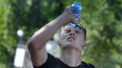 Синоптики рассказали, когда в Воронежской области спадет аномальная жара