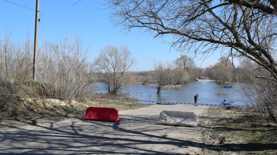 В Грибановском районе открыли движение через реку Ворона после весеннего разлива