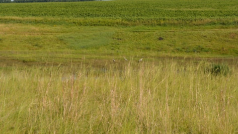 Признавшегося в убийстве подруги жителя Воронежской области нашли повешенным