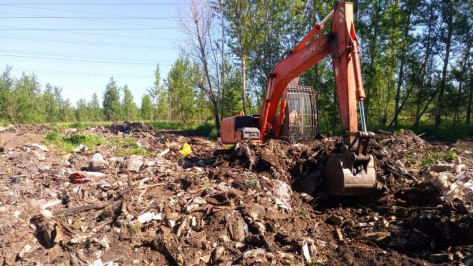 В новоусманском селе Бабяково через 10 лет ликвидировали несанкционированную свалку