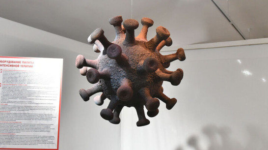 Коронавирусом в Воронежской области заболели 467 человек за сутки