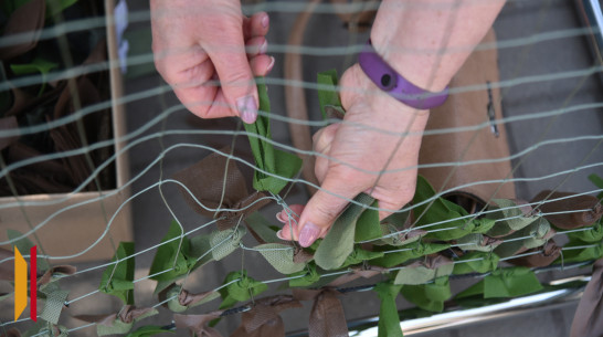 Волонтеры хохольского села Борщево изготовили 640 масксетей