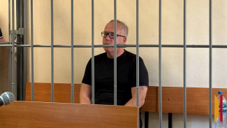 Экс-министра предпринимательства, торговли и туризма Воронежской области отправили в СИЗО