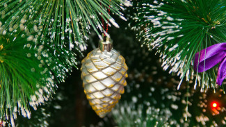 В Воронеже установили первую новогоднюю елку 