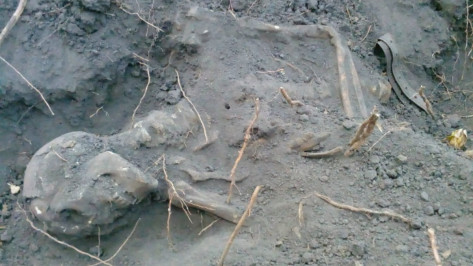 На границе воронежского Центрального парка нашли останки 2 красноармейцев