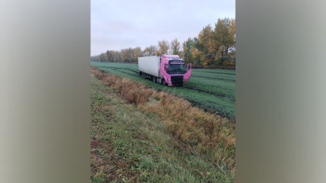 В Воронежской области водитель розовой фуры устроил аварию с четырьмя пострадавшими