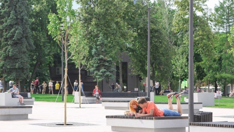 Жителей Воронежской области призвали выбрать парки и скверы для благоустройства