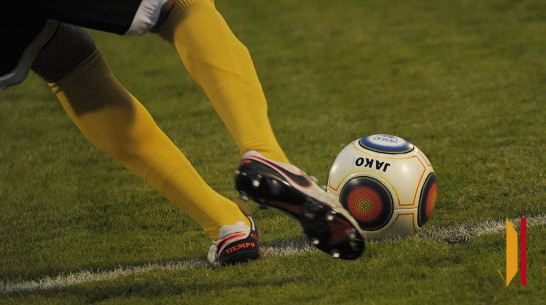 Воронежский спорткомплекс «Тенистый» за 229 млн рублей отремонтирует местная фирма