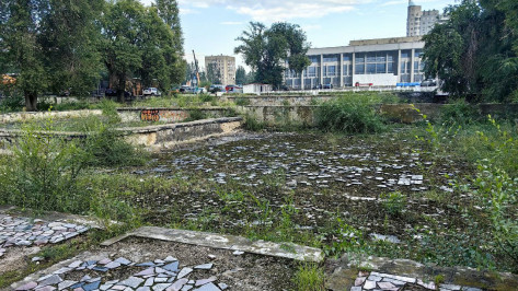 Заброшенный фонтан у воронежского парка «Дельфин» планируют восстановить