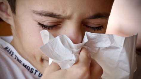 На 74% выросла заболеваемость гриппом и ОРВИ в Воронежской области