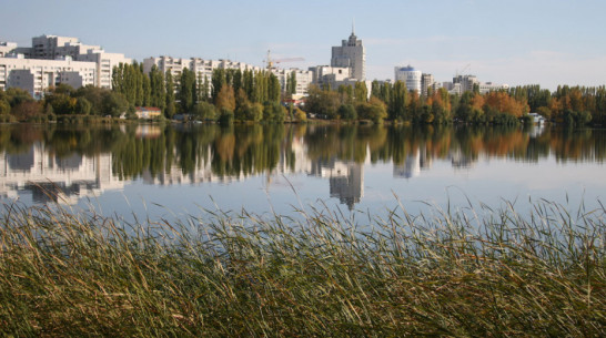 Аналитики: воронежцам для счастья хватит 163 тыс рублей в месяц