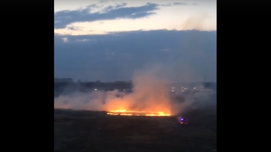 Воронежцы сняли на видео ликвидацию ландшафтного пожара 