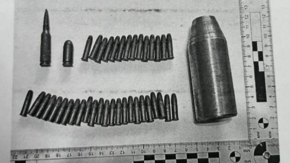 Воронежец нашел в лесу патроны и хранил их в старом портфеле