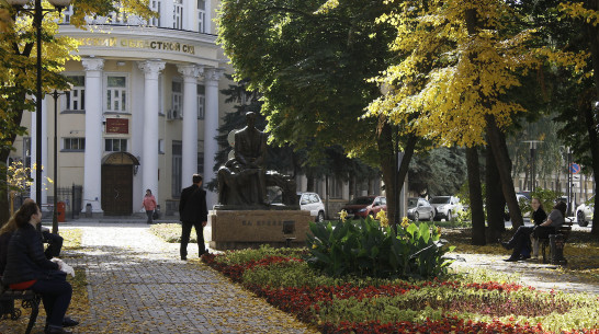 Воронежские парки и скверы будут дезинфицировать из-за COVID-19