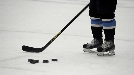 Воронежская хоккейная школа отметила юбилей матчем профессионалов против любителей
