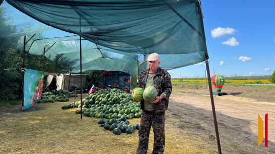 Арбузы для бойцов: как острогожский фермер помогает участникам СВО