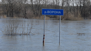 В Грибановском районе 3 низководных моста затопило