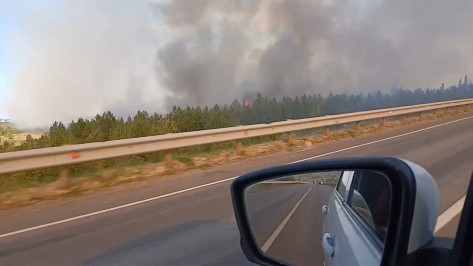 Пожар площадью 10 га локализовали в Лискинском районе Воронежской области