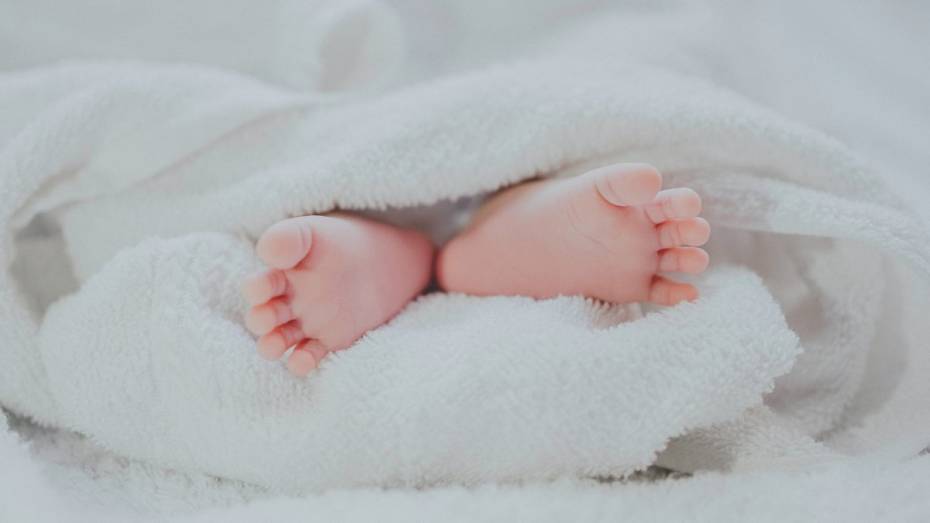 СНИЛС автоматически получили 8,5 тыс новорожденных в Воронежской области
