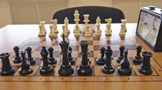 Бутурлиновский шахматист стал победителем межрайонного турнира в Богучаре