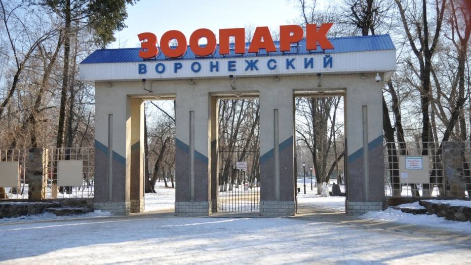 Вход в Воронежский зоопарк будет бесплатным для студентов 25 января