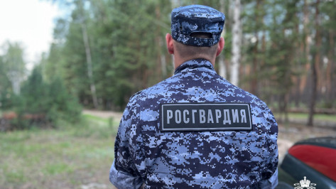 За неделю росгвардейцы Воронежской области более 290 раз выезжали по сигналу «тревога»