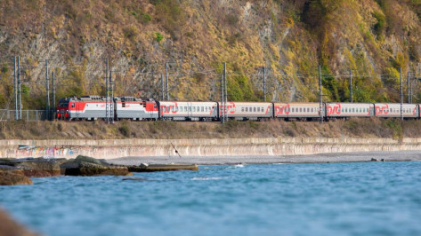 Дополнительный поезд запустят на юг через Воронеж в сентябре