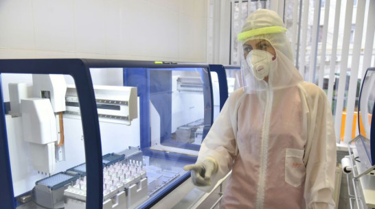 В Воронежской области ежедневно растет число новых случаев COVID-19