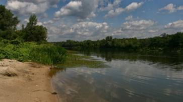 В Воронежской области 71-летний мужчина утонул в реке Дон 