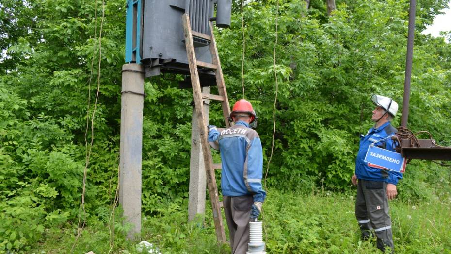 В нижнедевицких селах начали капремонт изношенных электролиний