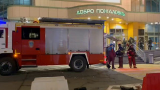 Спасатели эвакуировали 60 человек из ТЦ «Максимир» в Воронеже