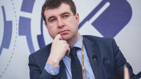 Департаменту экономического развития Воронежской области спустя год подобрали руководителя
