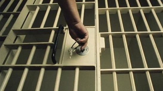 Шесть лет колонии получил житель Лискинского района за «эвтаназию» для односельчанки