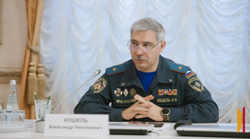 Главный воронежский спасатель получил почетный знак «За добросовестный труд и профессионализм»