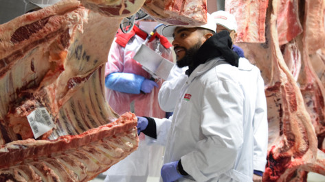 Воронежский суд оштрафовал бургерную Тимати на 30 тыс рублей за нарушение санитарных норм