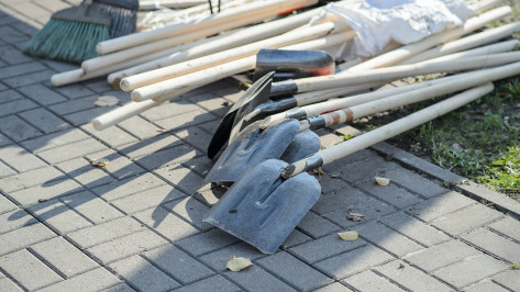 Власти вместе с добровольцами устроят уборку на даче Башкирцевых под Воронежем