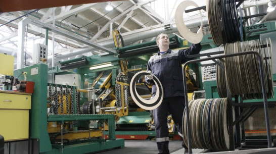 Алексей Гордеев: «Экономика Воронежской области сохранила позитивную динамику»