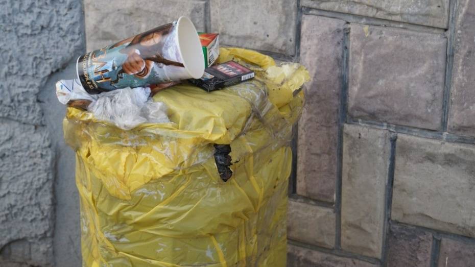 Эксперты: в Воронежской области могут вырасти тарифы на вывоз мусора
