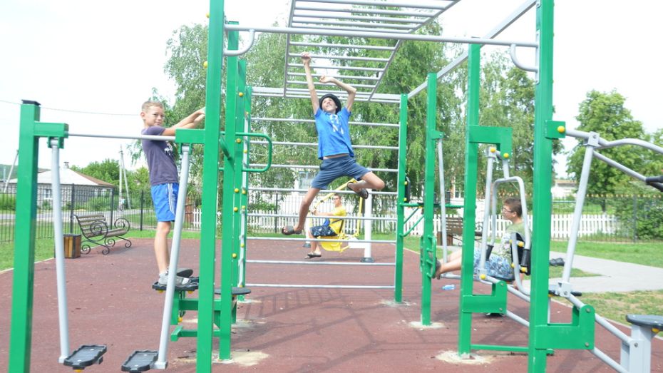 Активисты павловского села Воронцовка оборудовали спортплощадку для подростков и детей