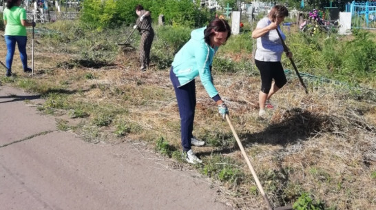 В верхнемамонском селе Русская Журавка благоустроят кладбище