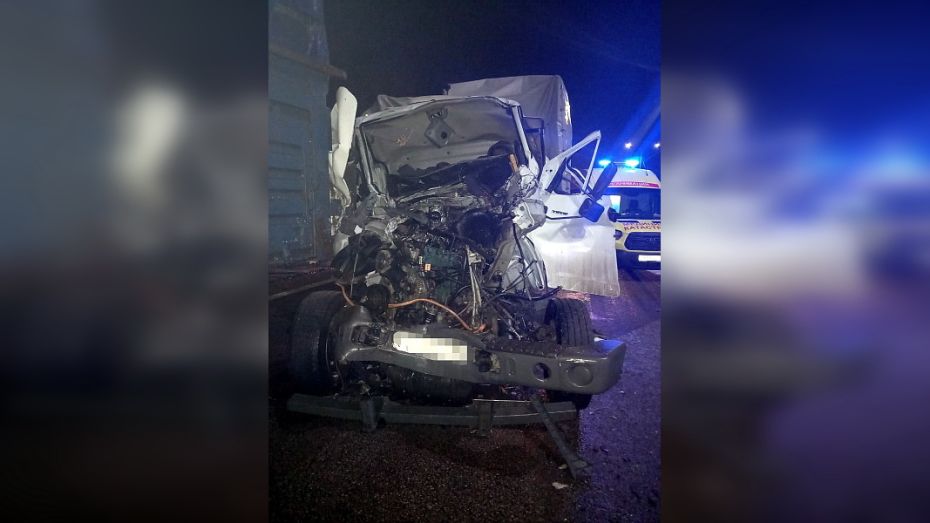Два человека погибли и один пострадал в ДТП с 3 грузовиками под Воронежем