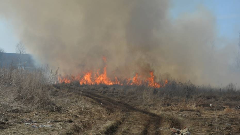 В нижнедевицком селе из-за непотушенного окурка сгорели два дома