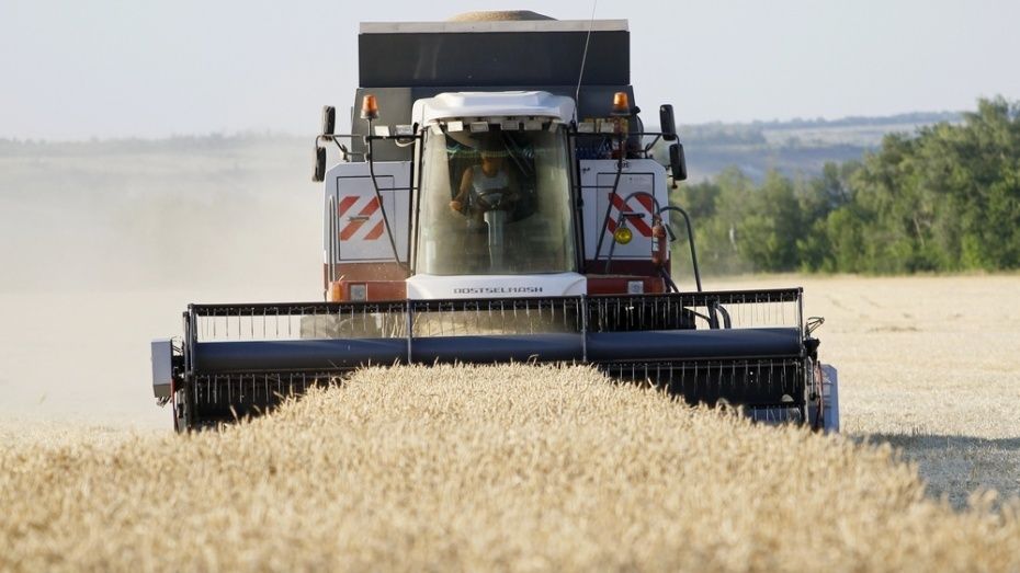 Воронежские аграрии намолотили второй миллион тонн зерна