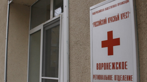 Мэрия Воронежа предложила Красному Кресту два новых варианта для переезда