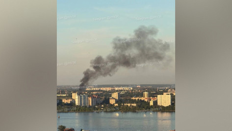 Вечером 9 июня в Левобережном районе Воронежа загорелись гаражи: видео
