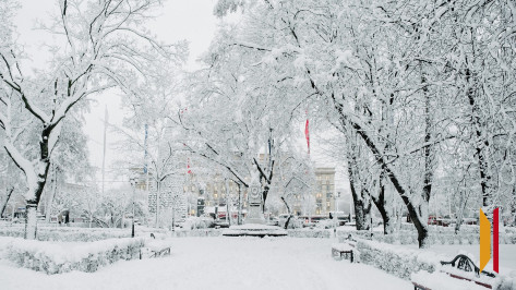 В Воронеже короткая рабочая неделя будет снежной и морозной