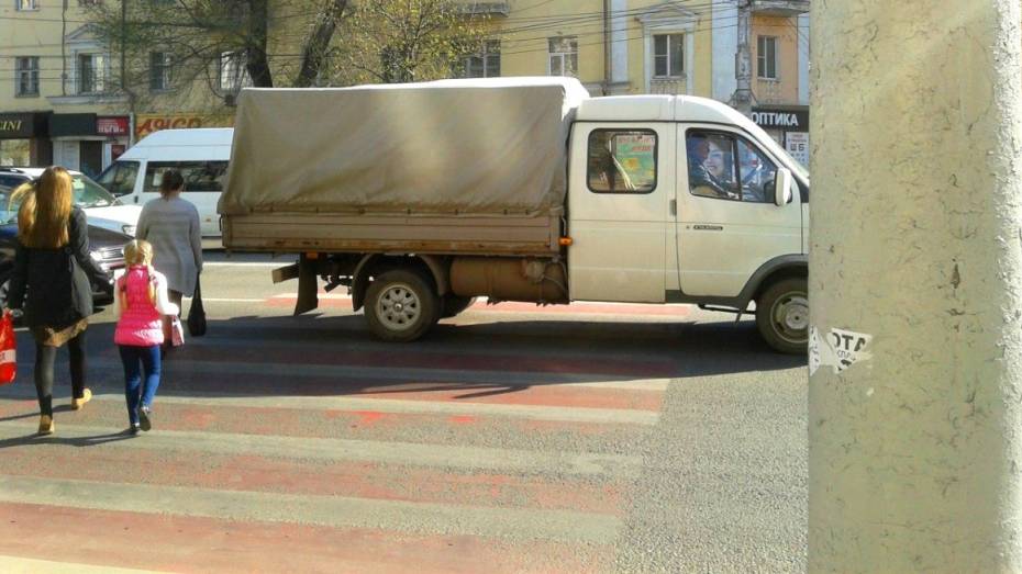 Воронежский блогер попросил у мэрии общественные слушания по демонтажу «зебр»