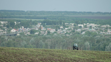 В Воронежскую область дополнительно направят 15 млн рублей на мелиорацию земель