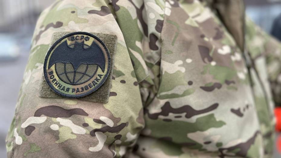 С начала 2025 года в Воронежской области появилось 34 клуба поддержки участников СВО